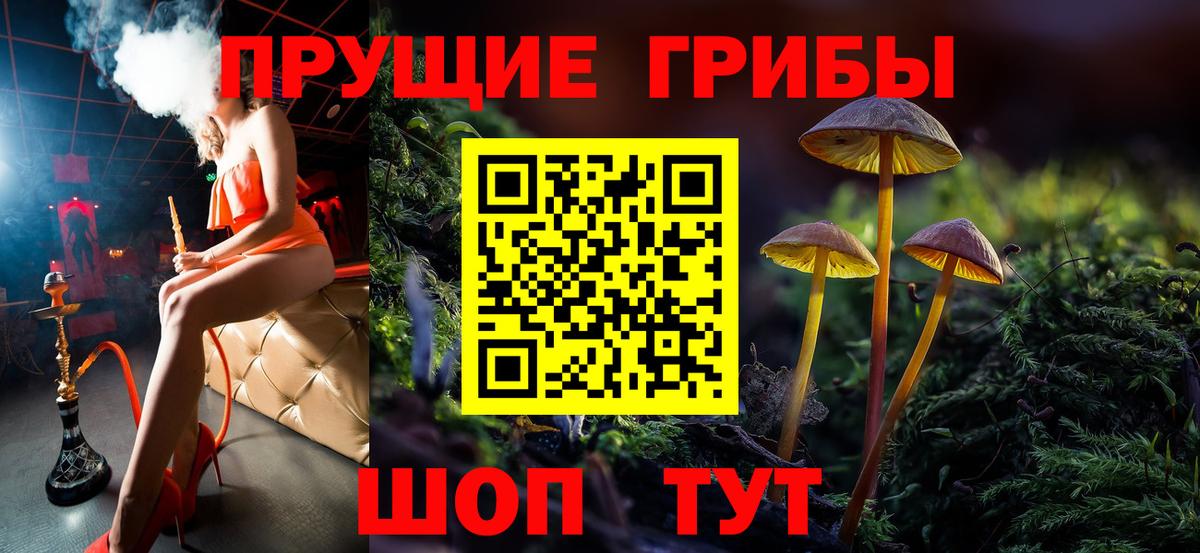Обь  Галлюциногенные грибы Psilocybe  Вход с VPN 
